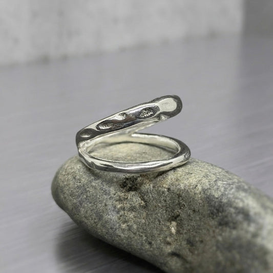 Flux Ring SS1